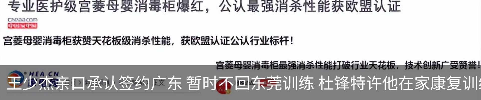 新闻动态